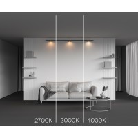 Трековый светильник  TR189-1-12W4K-BBS