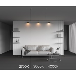 Трековый светильник  TR189-1-12W4K-BBS