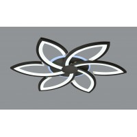 A89/6 BK+RGB (1) Люстра MN (RL)