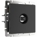 WERKEL WL08-TV-2W/ ТВ-розетка проходная  (черный матовый) a033758 W1184008