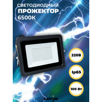 Прожектор светодиодный SFL 270х200х20мм 100W 6500K 8000Лм IP65 СириусА (10шт) RSP