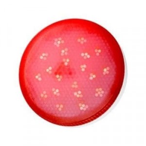 Ecola GX53   LED color  8,0W Tablet 220V Red Красный матовое стекло (композит) 28x74