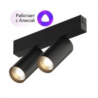Светильник акцентный  SPOT DOUBLE Denkirs Smart DK8012-BK черный RSP