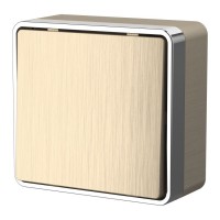 WL15-01-01/ Выключатель одноклавишный Gallant (шампань рифленый)