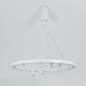 Светильник подвесной ElegantLight DZN-8218 WHITE D650/H1200/12+4/LED/48W/3000K 22-10 VISION
