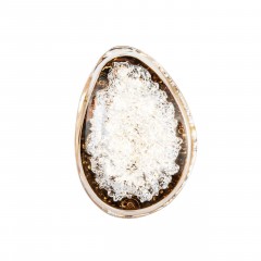 Настенный светильник MODESTYLE MS.2311.01 GD 