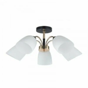 Люстра в стиле модерн 12222/5BK+FGD WT ЭкономСвет RSP