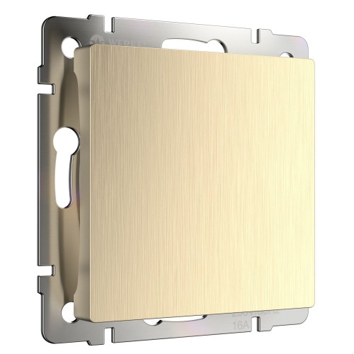 WERKEL WL10-70-11/ Заглушка (шампань рифленый) a041308 W1159210