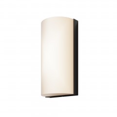 Настенный светильник (бра) Outdoor O454WL-L10GF3K1