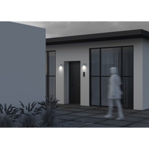 Настенный светильник (бра) Outdoor O493WL-01W