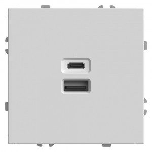 Розетка двухместная USB + Type C Stekker Эмили белый фарфор RST10-5115-01 49879