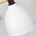Потолочная люстра Imperium Loft Flan 178010-26