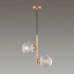 Купить Подвесная люстра Lumion Moderni Geneva 5292/2 с доставкой по России