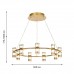 Подвесная светодиодная люстра Favourite Ampullen 4323-9P