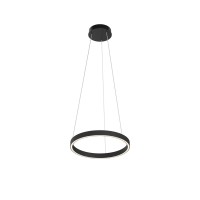 Подвесной светильник Maytoni MOD058PL-L22BK