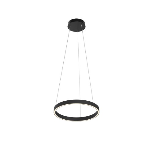 Подвесной светильник Maytoni MOD058PL-L22BK