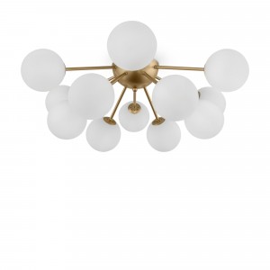 Потолочный светильник Freya FR5120CL-12G