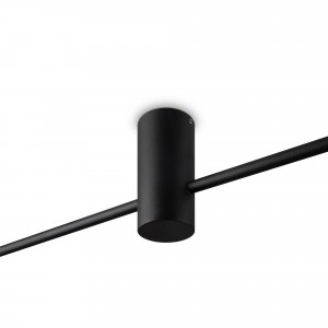 Потолочный светильник Freya FR5363CL-02B1