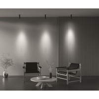 Потолочный светильник Technical C055CL-L12W4K-Z-B