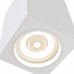 Потолочный светильник Technical C011CL-01W
