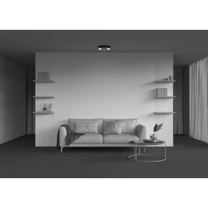 Потолочный светильник Technical C093CL-24W4K-B