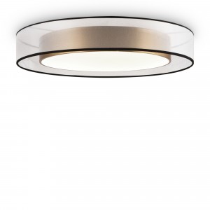 Потолочный светильник Freya FR6005CL-L48G