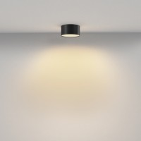 Потолочный светильник Technical C032CL-12W2.7K-RD-B