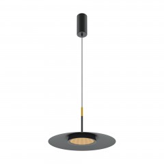 Подвесной светильник Maytoni MOD041PL-L15B3K1