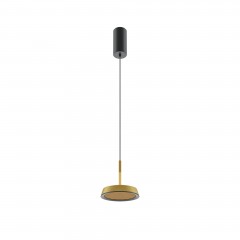 Подвесной светильник Maytoni MOD041PL-L15G3K