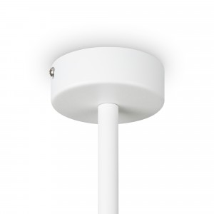 Потолочный светильник Freya FR5363CL-06W