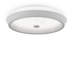 Потолочный светильник Freya FR10012CL-L24W