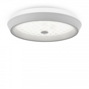 Потолочный светильник Freya FR10012CL-L24W