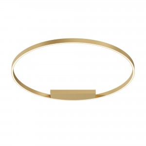 Потолочный светильник Maytoni MOD058CL-L65BSK