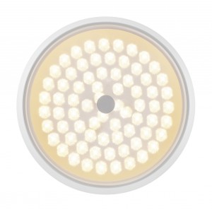 Потолочный светильник Freya FR10012CL-L24W