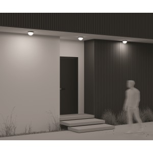 Потолочный светильник Outdoor O438CL-L12GF3K