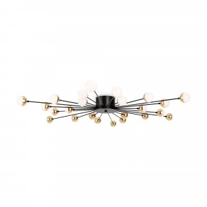Потолочный светильник Freya FR5242CL-24B