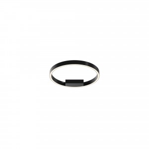 Потолочный светильник Maytoni MOD058CL-L25BK