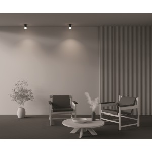 Потолочный светильник Technical C007CW-01B