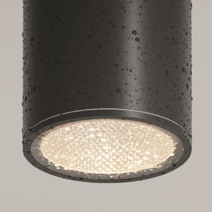 Потолочный светильник Outdoor O306CL-L12GF