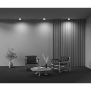 Потолочный светильник Technical C032CL-12W3K-RD-W