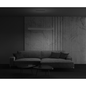 Подвесной светильник Technical P010PL-L30W