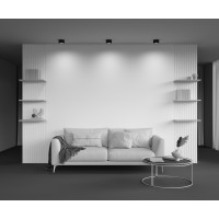 Потолочный светильник Technical C091CL-12W3K-B