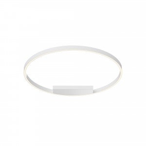 Потолочный светильник Maytoni MOD058CL-L50WK