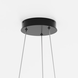 Подвесной светильник Maytoni MOD058PL-L42BK