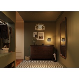 Подвесной светильник Maytoni MOD409PL-01W