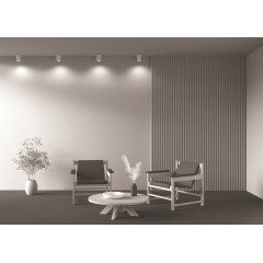 Потолочный светильник Technical C016CL-01W