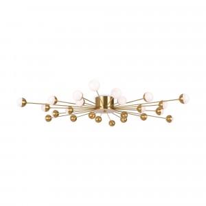 Потолочный светильник Freya FR5242CL-24BS