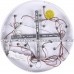 Потолочная светодиодная люстра Natali Kovaltseva Led Lamps 81225