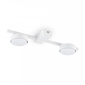 Потолочный светильник Freya FR5363CL-02W