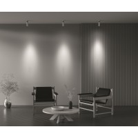 Потолочный светильник Technical C055CL-L12W3K-Z-W